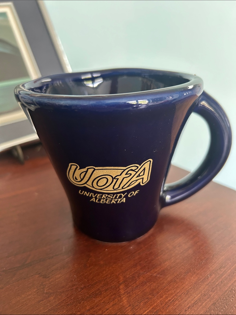 UofA Navy Ceramic Coffee Mug